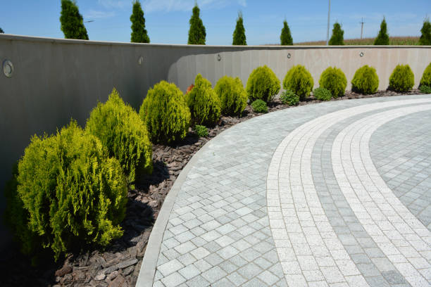 Best Affordable Driveway Pavers  in Laguna Park, TX