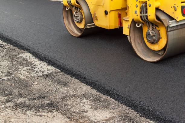 Best Professional Driveway Pavers  in Laguna Park, TX